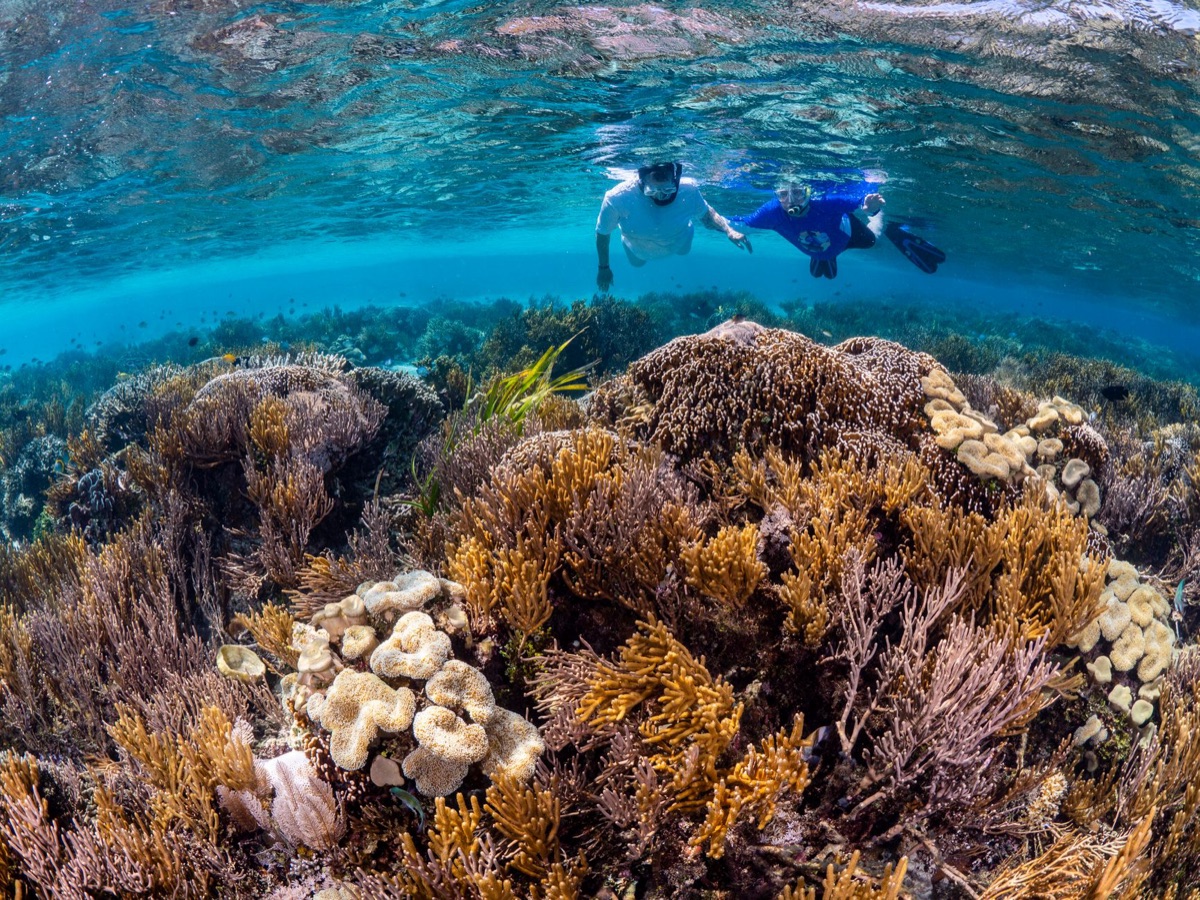 Snorkelagem em recifes de Cancun
