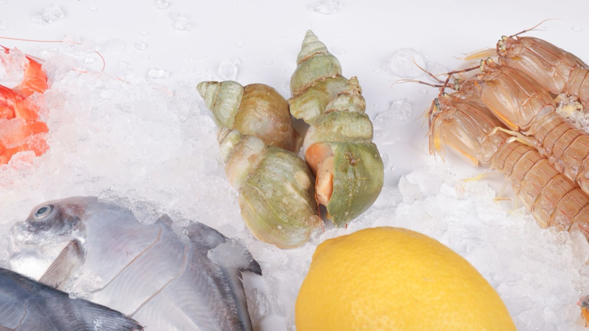 Cancun seafood market with fresh tropical fish and shells