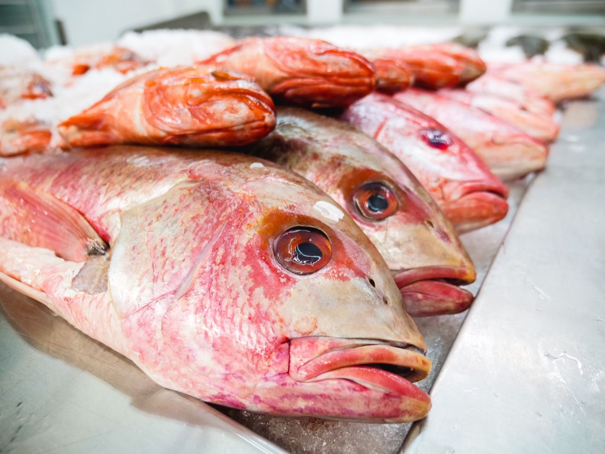 mercado de pescado y frutas tropicales en Cancun