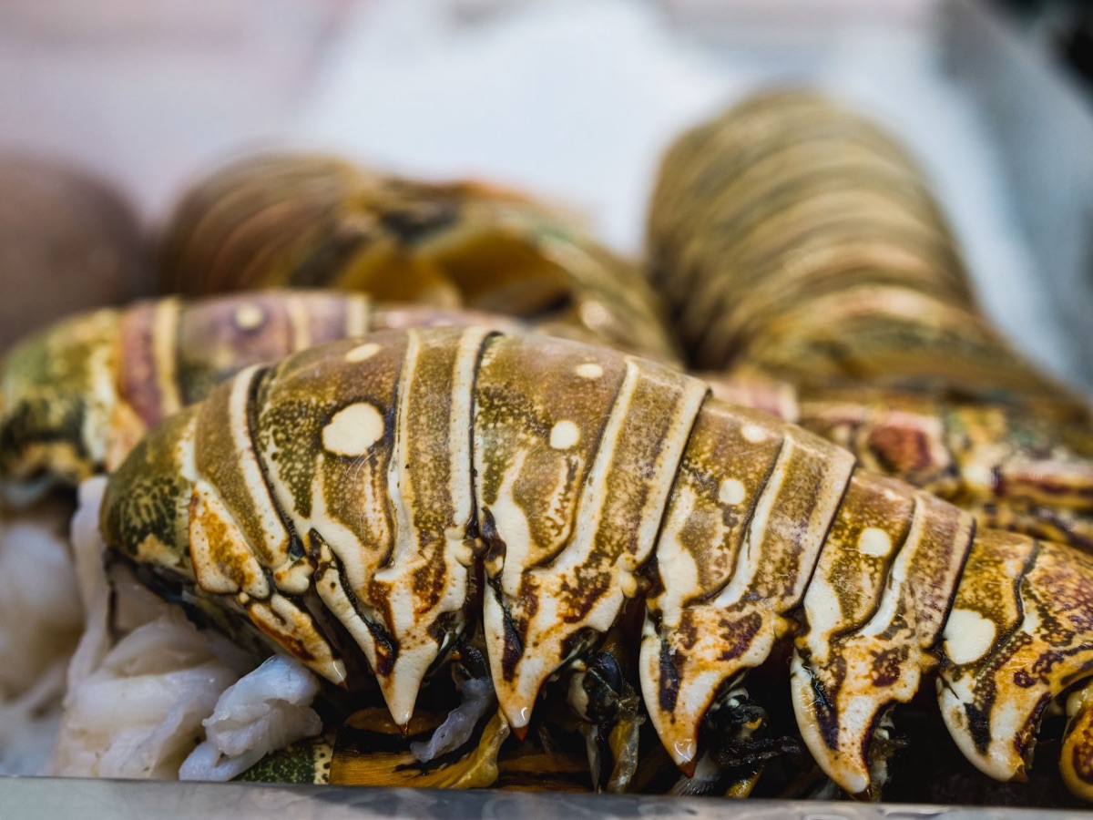 Cancun seafood market