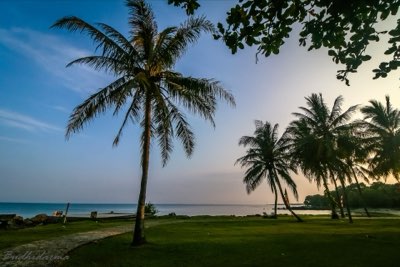 Viaje a Cancún: Domina finanzas, clima y seguridad antes de ir