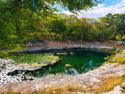 Yucatán Cenotes: Your Essential Guide to Safe Plunges