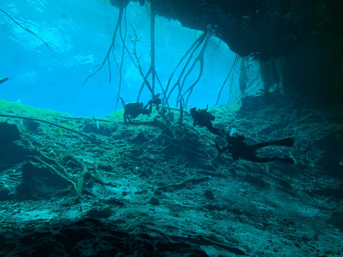 Scuba diver in a cenote exploring underwater ruins