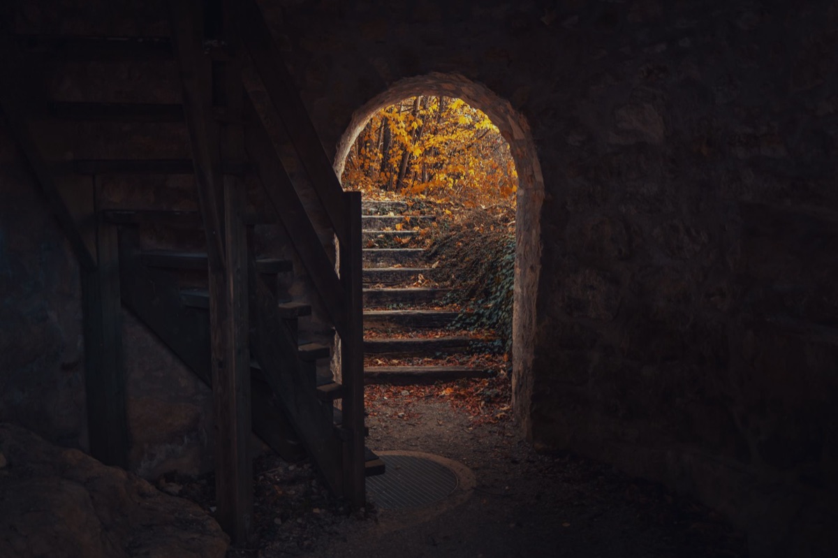 Entrance to cenote with steps