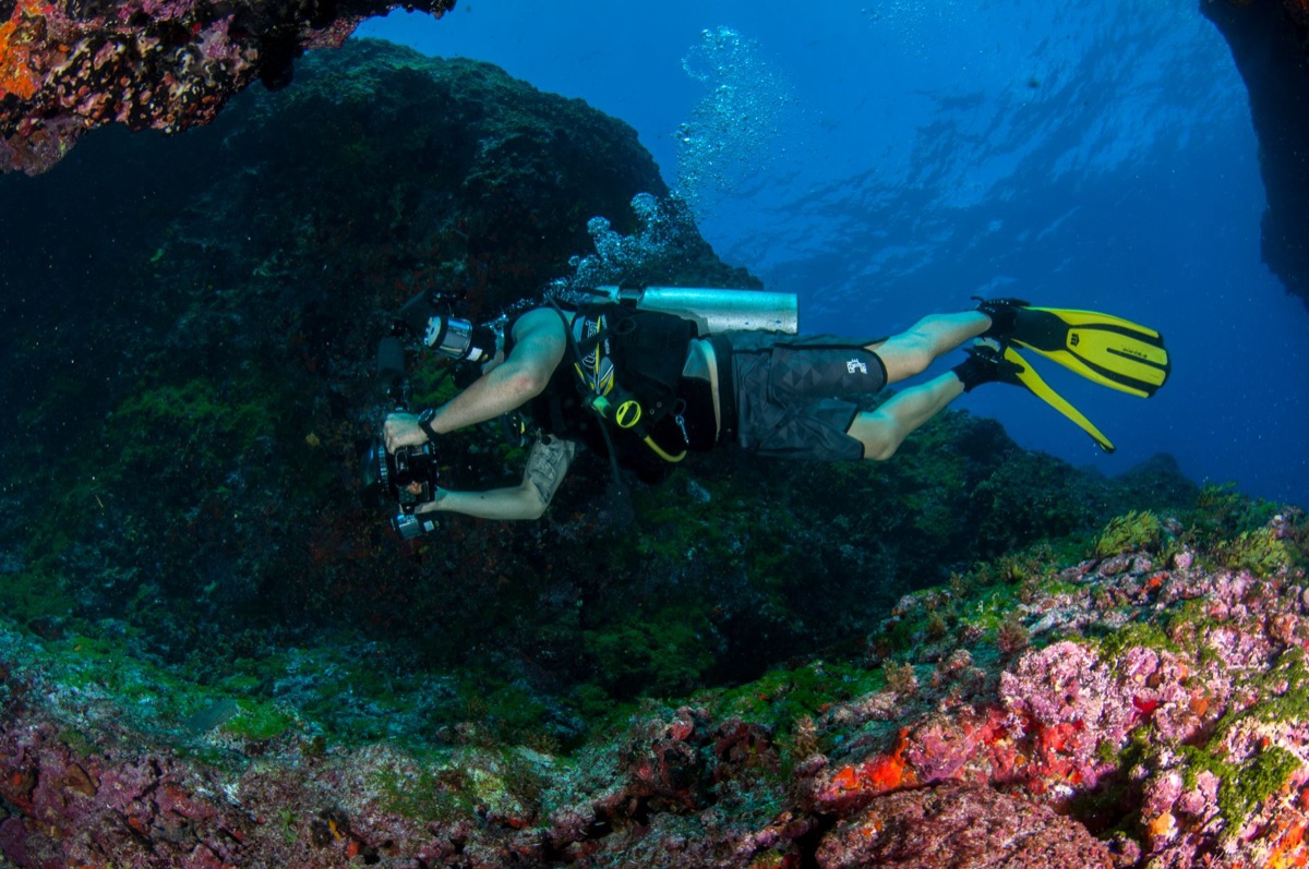 Diver in Cenote