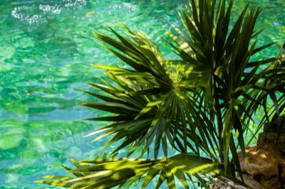 Cenotes: Guia Completo para Mergulho e Snorkel em Yucatán