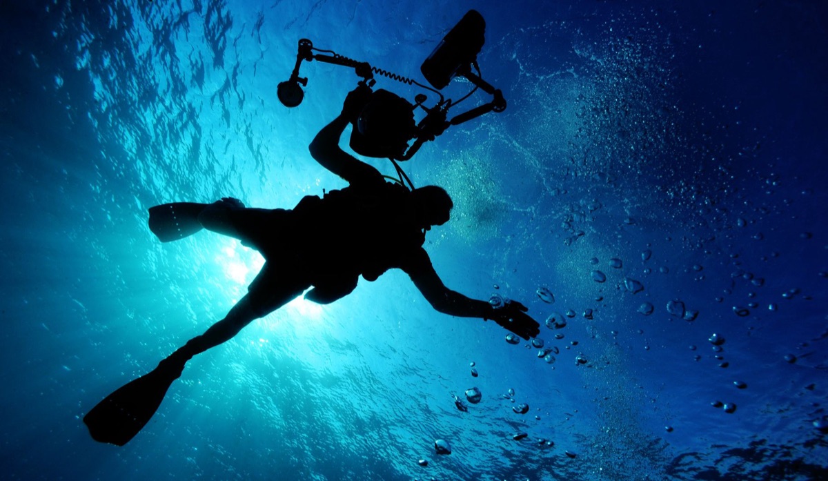 dive em cenote com água clara e plantas submersas