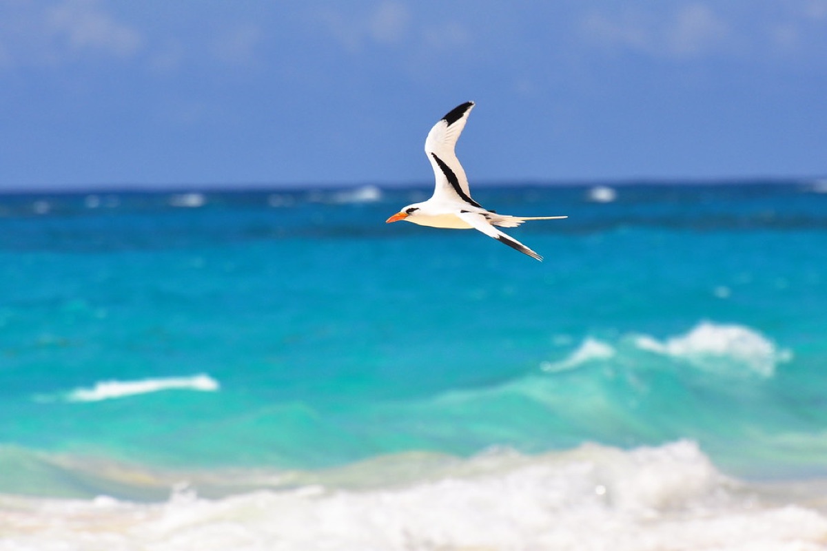 Isla Mujeres con su playa natural