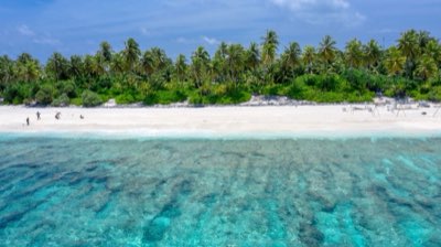 Isla Mujeres o Cozumel: Avventura Marina o Relax Totale? Scopri!