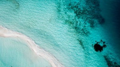 コスメルかイスラ・ムヘレスか？あなたの旅の目的に合う島は？