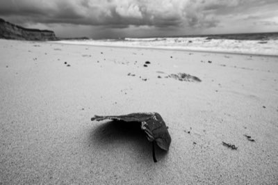 Cozumel vs Isla Mujeres: Welk eiland past bij uw vakantie?