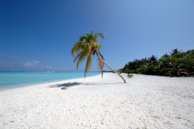 Cozumel vs. Isla Mujeres: Escolha perfeita para seu feriado