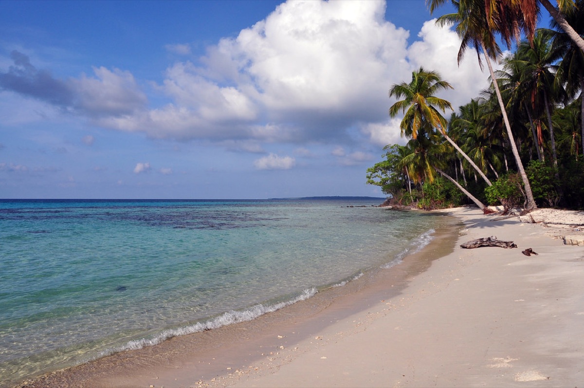 areia branca e água azul em praia tropical