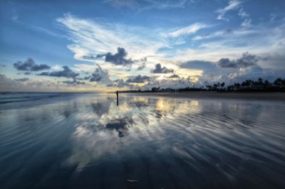 Cancún : quand voyager pour éviter la sargasse et trouver le bleu