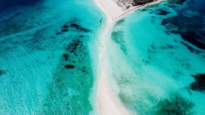 Sargasso presente? Scopri come salvare la vacanza in Riviera Maya