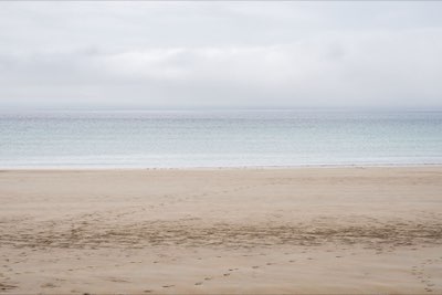 Zeewier in de Caribisch Zee: Zo kies je het gouden moment
