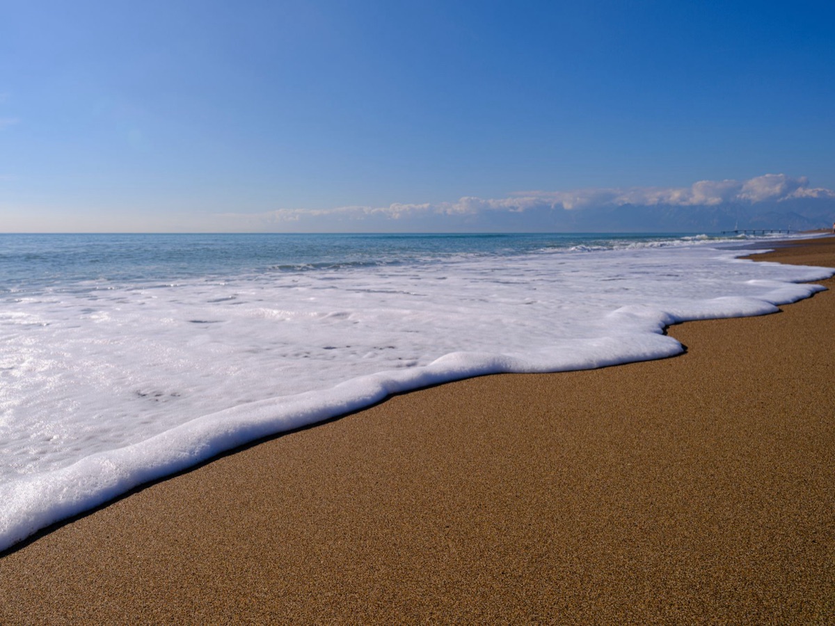 areia limpa com algas