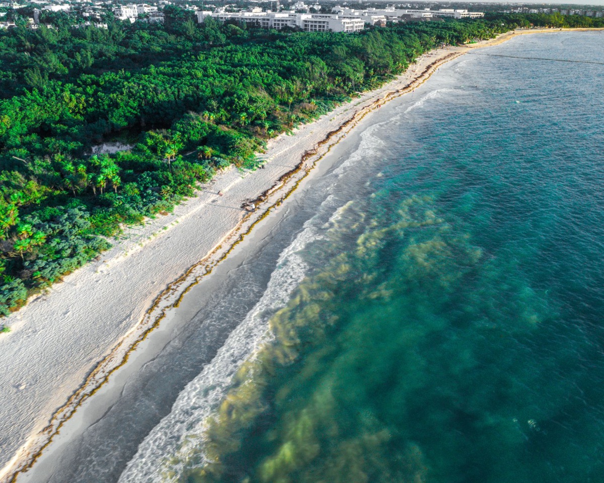 areia limpa com algas removidas