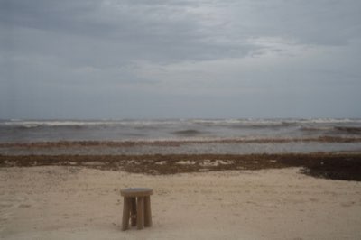 加勒比海藻潮汐現況：聰明旅客的黃金旅遊時機規劃完整指南