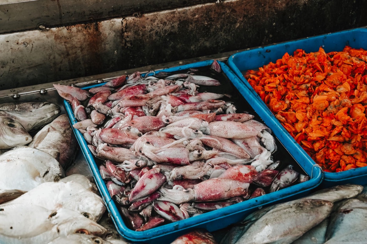 Cancun-Strand mit Fischmarkt und Meereslebens