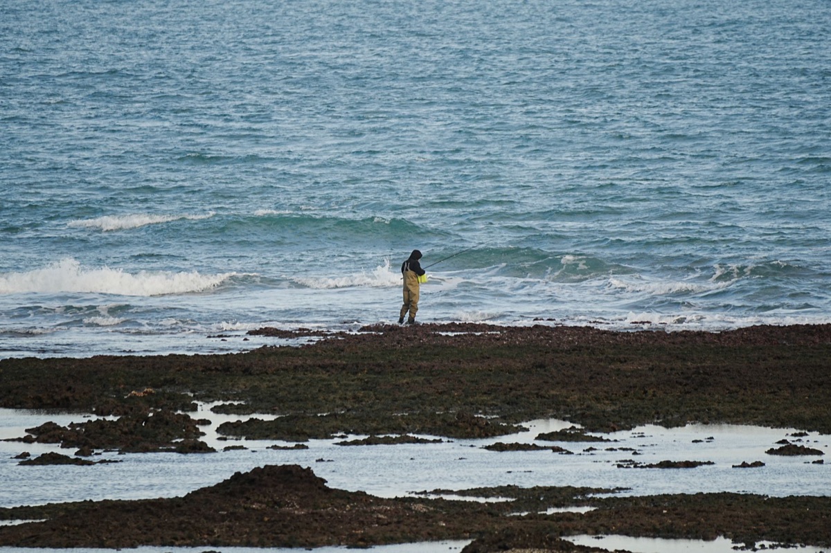 pescador local seleccionando algas