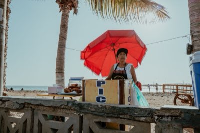 Voyage au Mexique : Quand les algues changent le visage de la mer