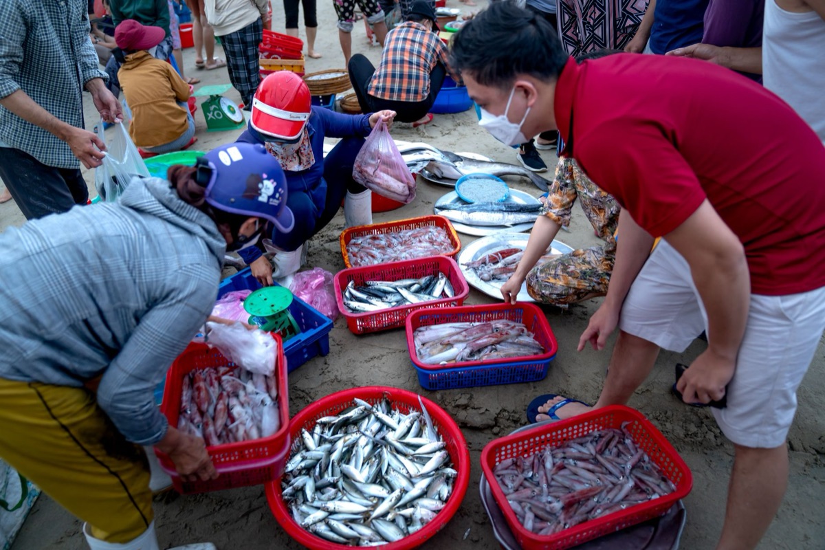 Marché de poissons et produits marins locaux à Cancun