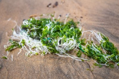 Sargassum presente? 3 attività per godersi Cancun anche con alghe