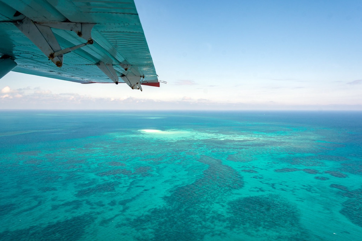 sunken coral reef with fish