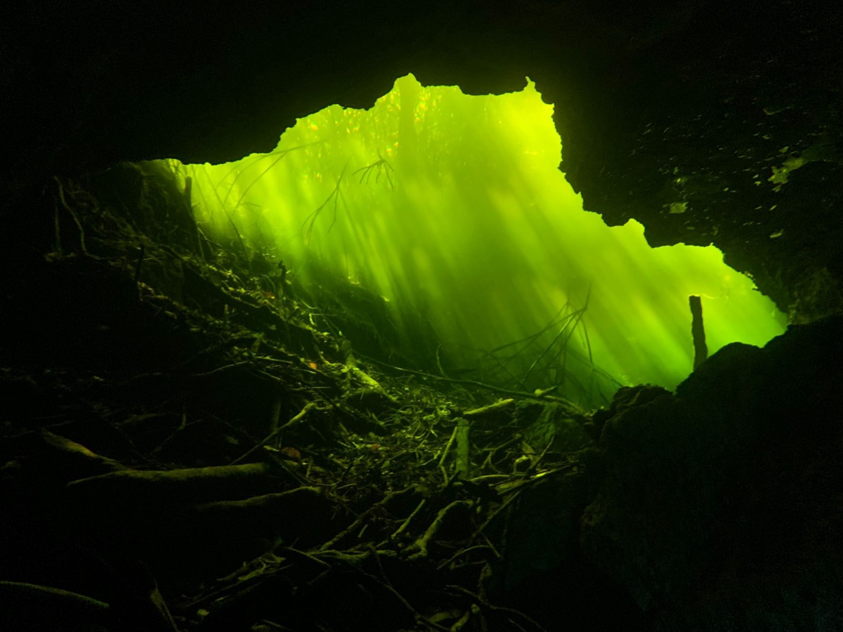 piscina cenote, cieneguilla, cancun