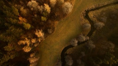 Scopri il Vero Messico: Rovine, Acque Vive e Spirito Maya del Sud