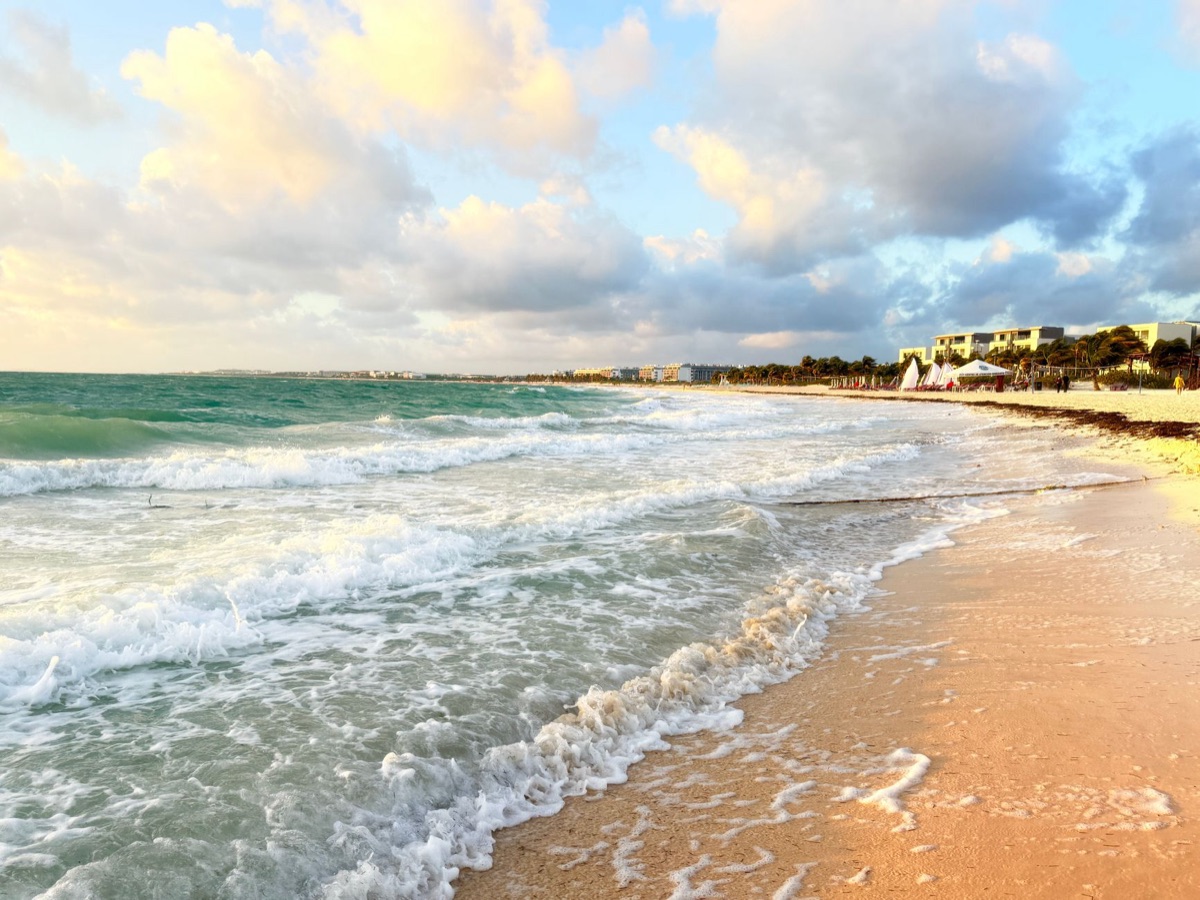 Playa del Carmen beachfront with palm trees