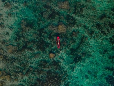 Sargazo afecta Playa: Elige cenotes y ruinas para tu aventura