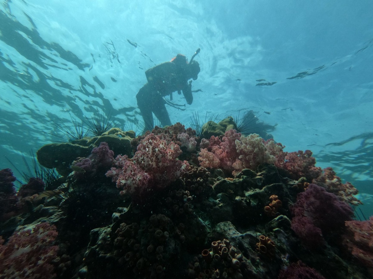 Local fisherman with coral reef