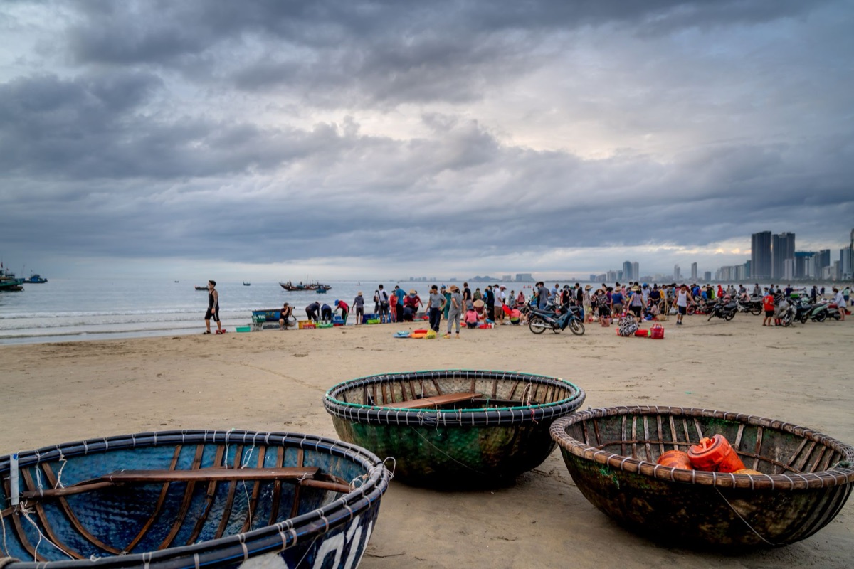 Les verts de mer de Cancun dans un panier