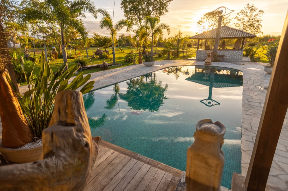 Senote pool with palm trees and surrounding jungle