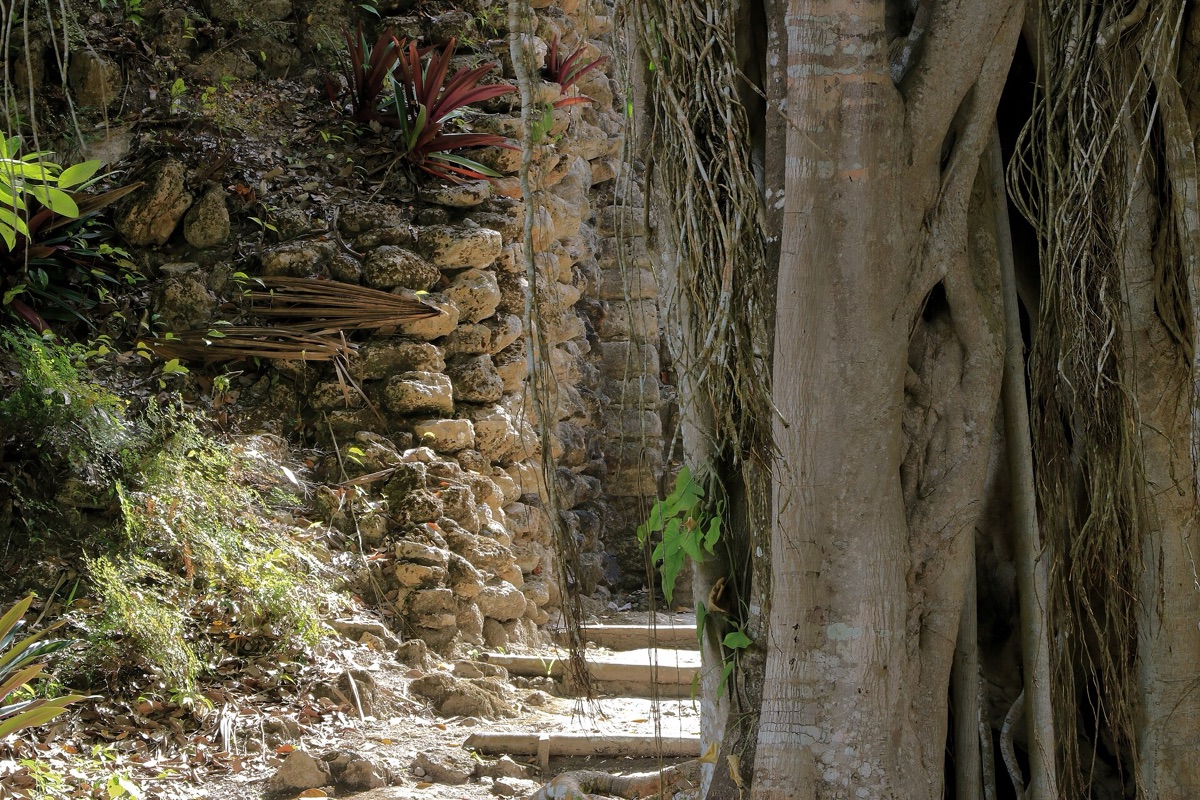 templo maya ruínas