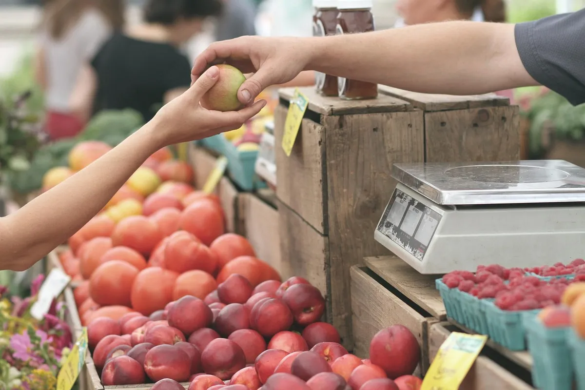 蘋果、農場市場、購買、消費者、買家、賣家、商戶、交易、水果、 fresh produce、水果攤